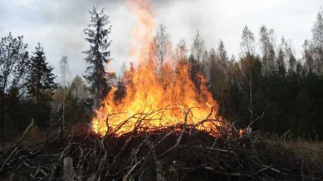 В Житомирской области трое пенсионеров жгли сухую траву и оказались в больнице с ожогами тел до 90%