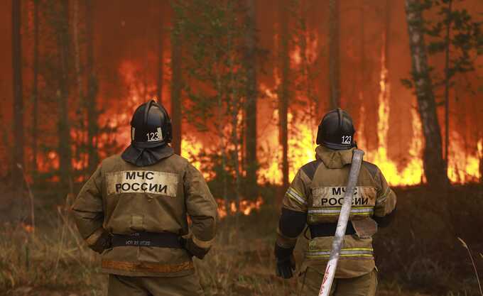 В Рязанской области площадь лесных пожаров превысила 180 га