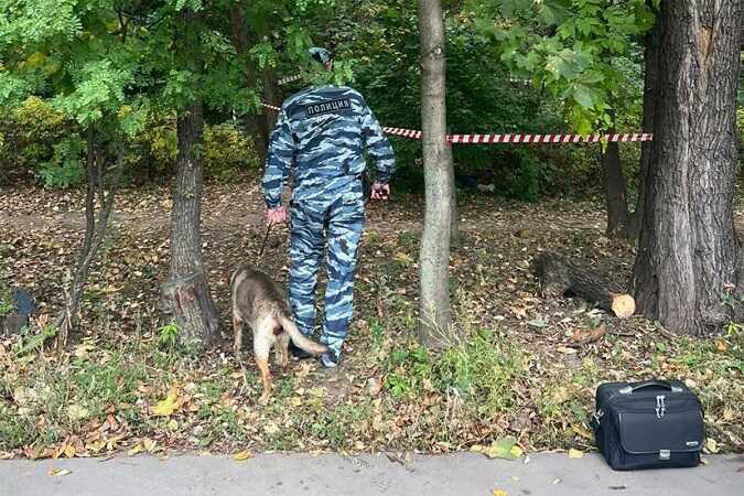 Тела двух девушек нашли в разных точках Москвы