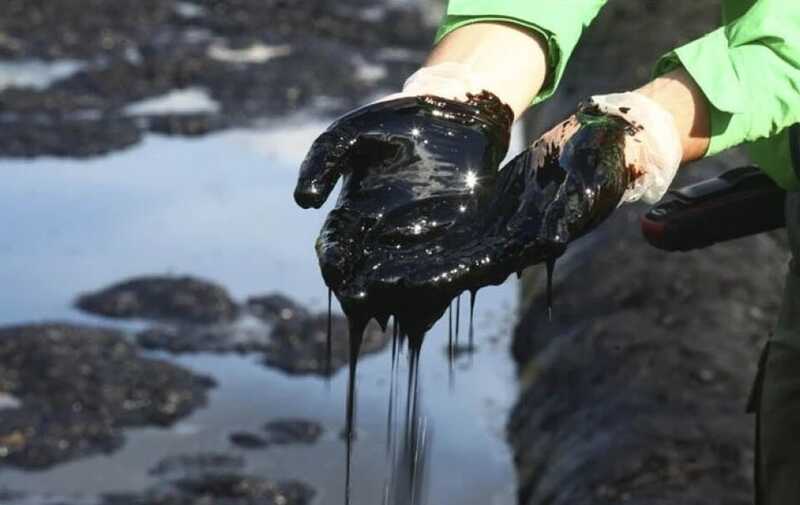 Мазут на дне Чёрного моря продолжает загрязнять воду