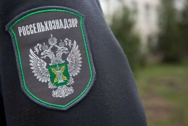 В Челябинске задержали чиновника из Россельхознадзора за организацию коррупционного механизма