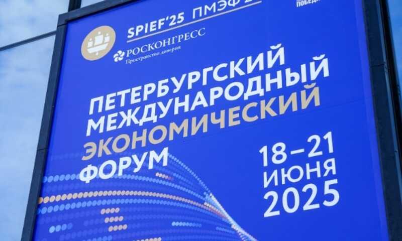 Участникам ПМЭФ раздали карты Таро с политиками, изображёнными в виде королей
